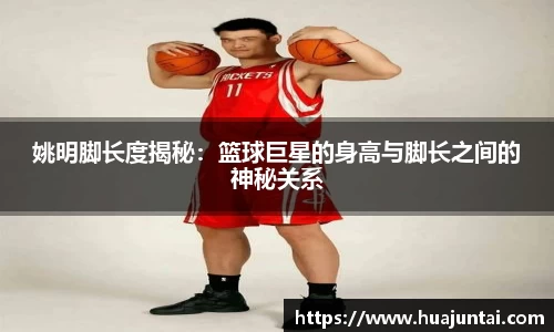 德信体育官网入口